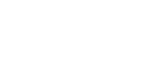 googlepartner